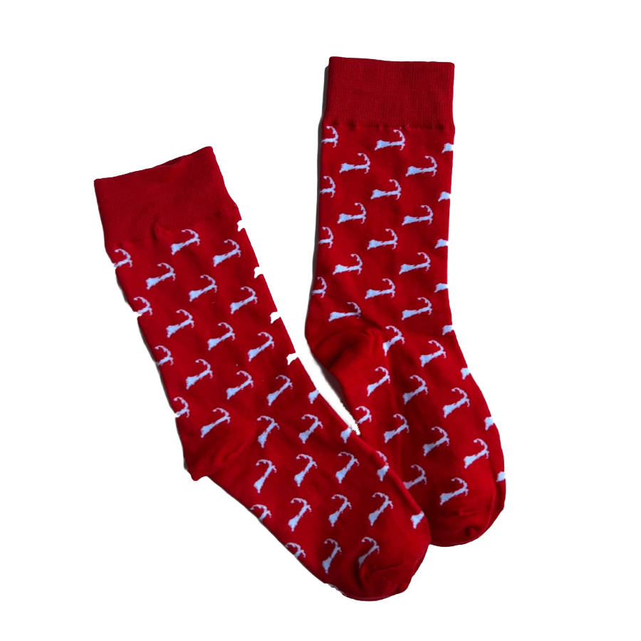 Cape Cod Red Map Socks