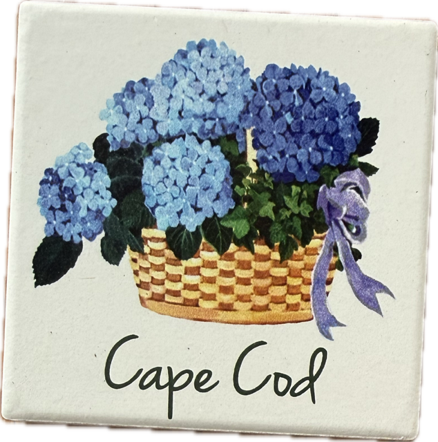 Cape Cod Coastal Coaster